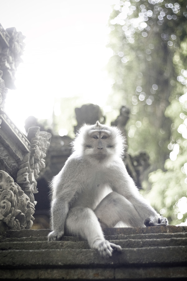 20120212214238_frederick_malahieude 20120212214238_frederick_malahieude