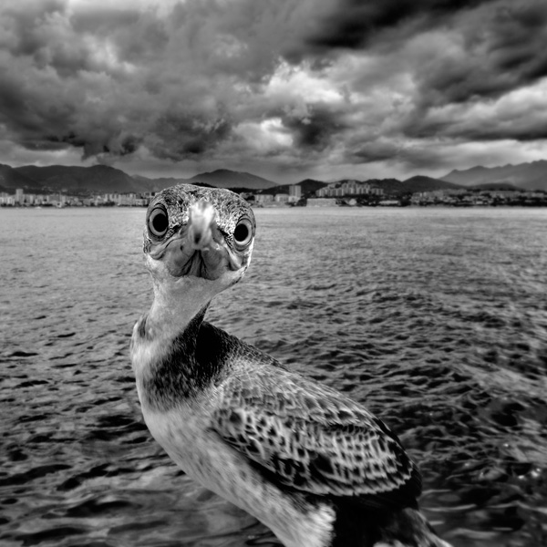 20120210105432_carre_dsc_4656ajaccio_et_envir_2009_06_21_605 20120210105432_carre_dsc_4656ajaccio_et_envir_2009_06_21_605