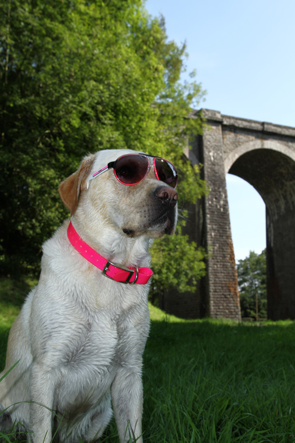 20120213103602_02092011_img_7930 20120213103602_02092011_img_7930