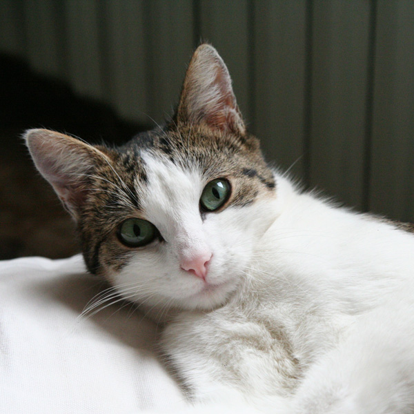 20120214085514_img_0788 20120214085514_img_0788