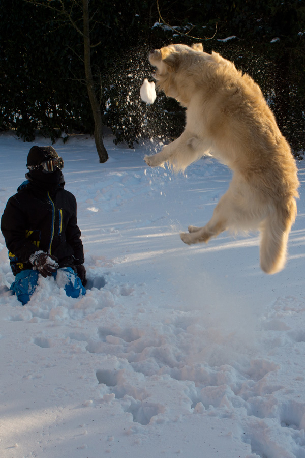 20120214092058_dsc00049_1 20120214092058_dsc00049_1