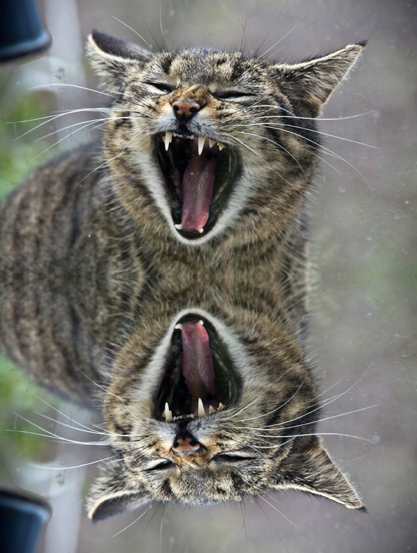 20120214113002_double_her 20120214113002_double_her