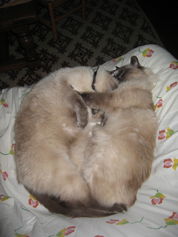 20120214123844_img_1972 20120214123844_img_1972