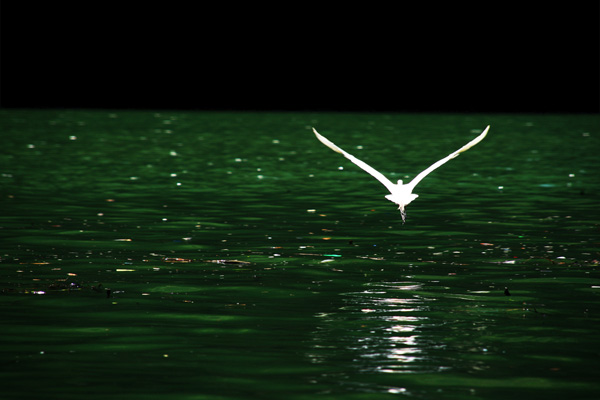 20120213100823_sumidero_046_copie15_10 20120213100823_sumidero_046_copie15_10