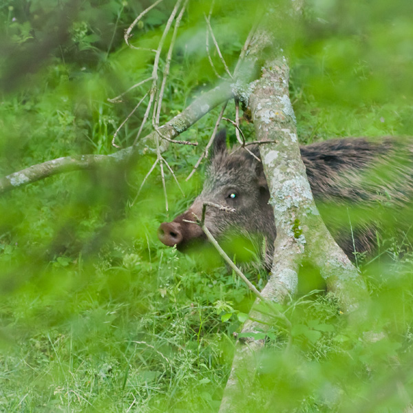 20120213102223_20090608_40d_19312_3 20120213102223_20090608_40d_19312_3