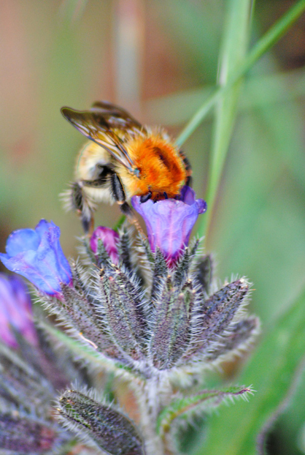 20120213130832_dsc_0075copie 20120213130832_dsc_0075copie