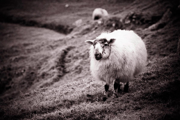 20120213132359_miss_you 20120213132359_miss_you