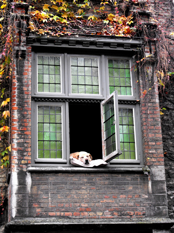 20120213195625_dscf3274 20120213195625_dscf3274