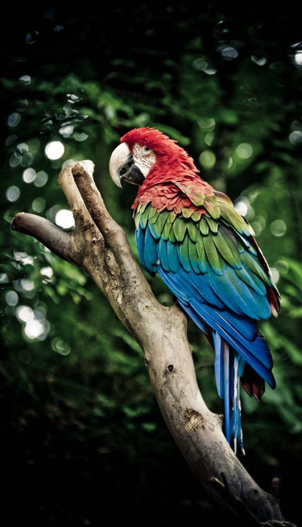 20120213234810__dsc0217 20120213234810__dsc0217