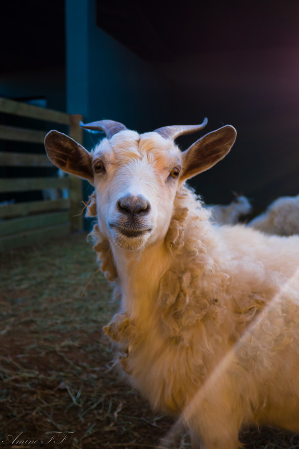 20120214030148_2012_01_18_16_52_097 20120214030148_2012_01_18_16_52_097