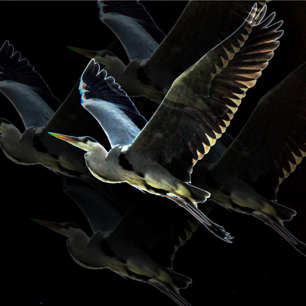 20120214075716_selection_pour_expo 20120214075716_selection_pour_expo