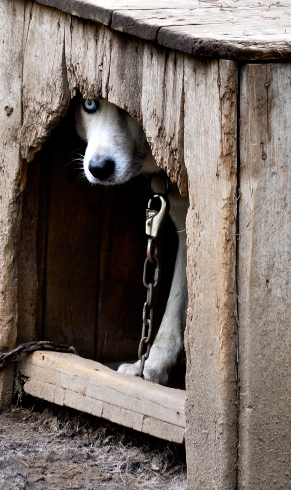 20120214093858_dsc_0741_2 20120214093858_dsc_0741_2