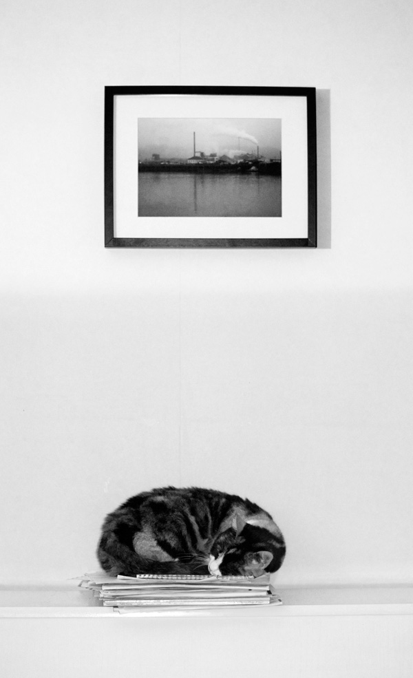 20120214094554_dsc03879_q 20120214094554_dsc03879_q