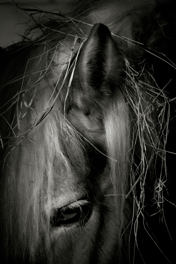 20120214100706_img_50139 20120214100706_img_50139