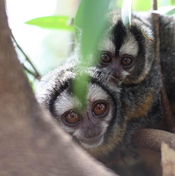 20120214105105_img_7180 20120214105105_img_7180