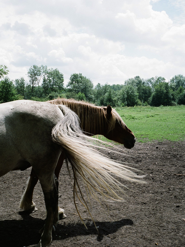 20120214120358_100724_018_13 20120214120358_100724_018_13