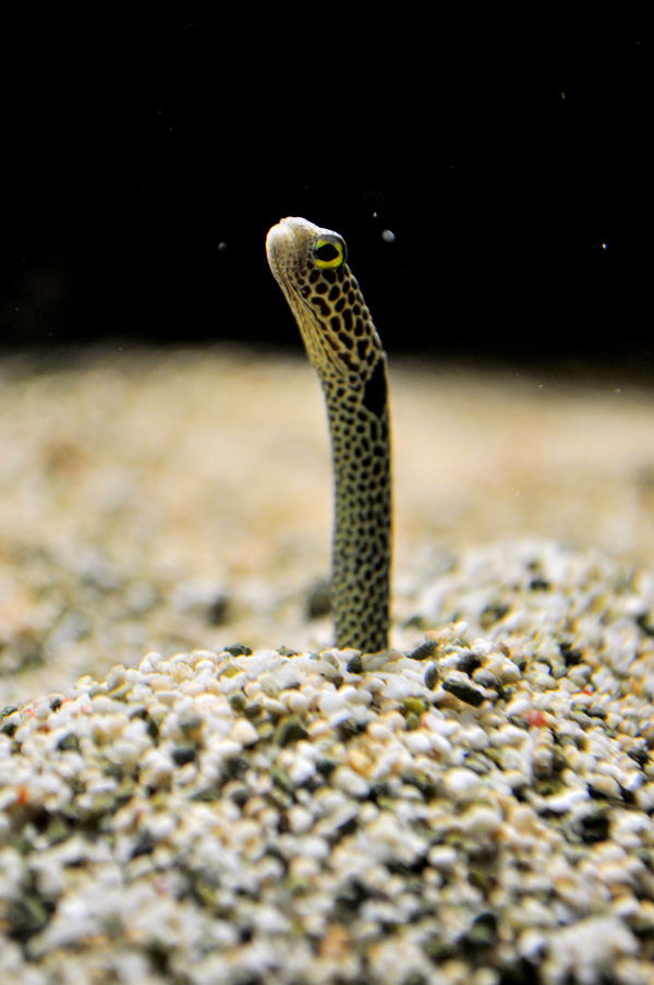 20120214141537_dsc_0118 20120214141537_dsc_0118