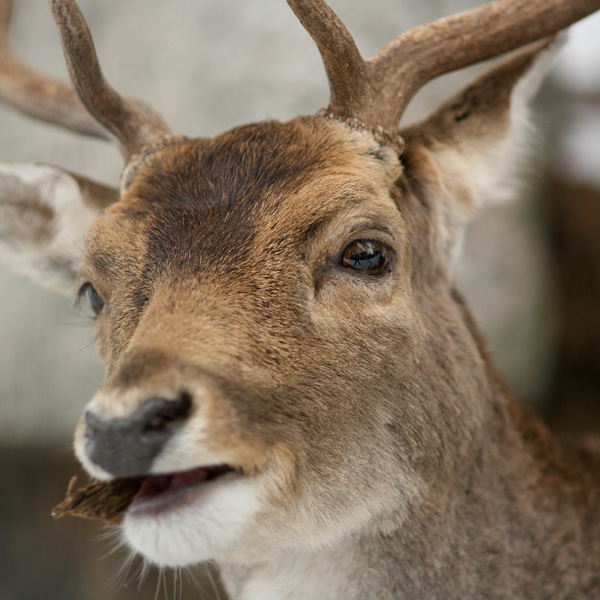 20120214142757_le_jour_ou_j_ai_croise_ton_regard 20120214142757_le_jour_ou_j_ai_croise_ton_regard