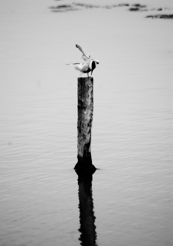 20120214143435_20090715_dsc_6865 20120214143435_20090715_dsc_6865