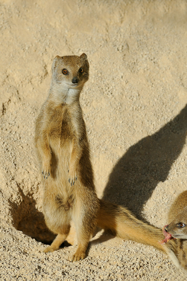 20120214144901_dsc_4279_2 20120214144901_dsc_4279_2