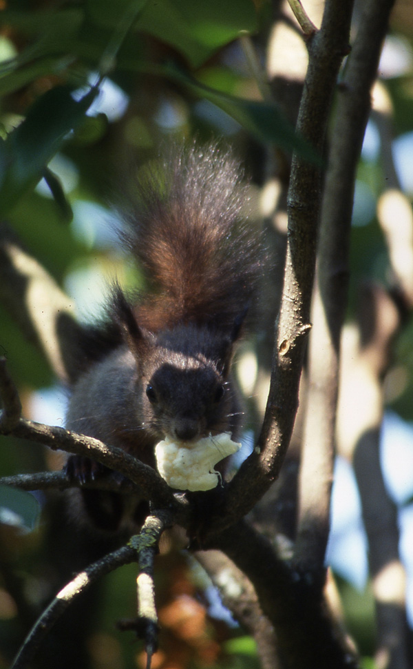 20120214145713_scan_56 20120214145713_scan_56