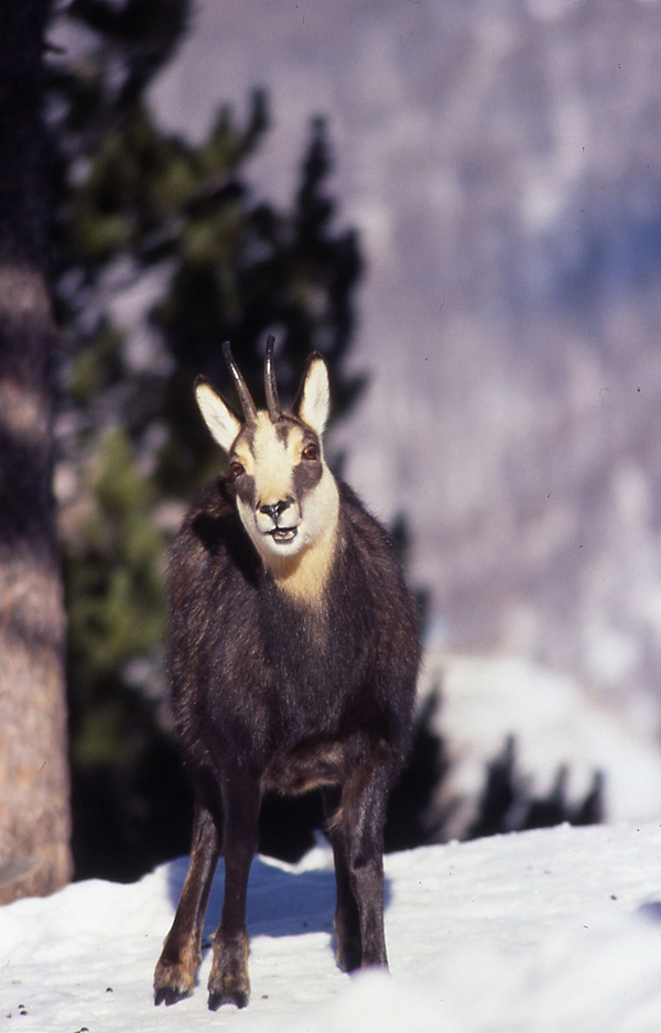 20120214150833_pour_ex__100 20120214150833_pour_ex__100