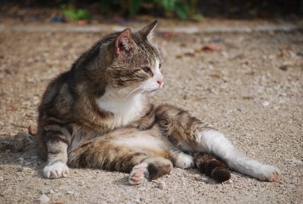 20120214154730_dsc_0886 20120214154730_dsc_0886