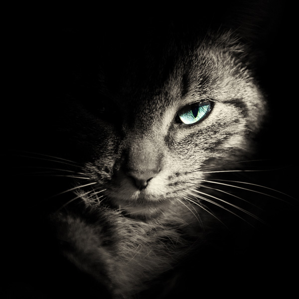 20120214171507_karma 20120214171507_karma