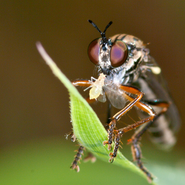 20120214174855_jack6455002 20120214174855_jack6455002