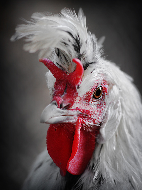 20120214192514_vd 20120214192514_vd