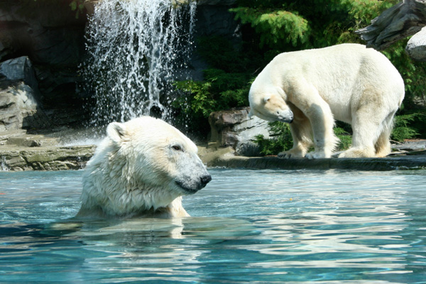 20120214192758_img_6574 20120214192758_img_6574