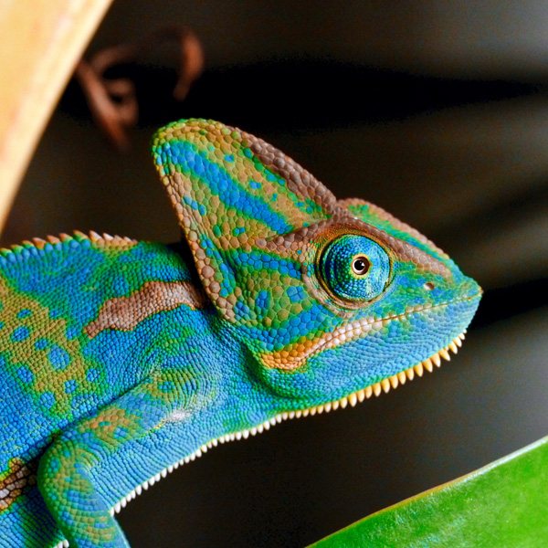 20120213235514_2011_10_19_a_19_02_01___version_3 20120213235514_2011_10_19_a_19_02_01___version_3