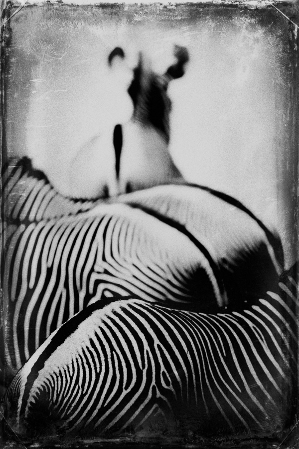 20120214025347__mg_7715bis1 20120214025347__mg_7715bis1