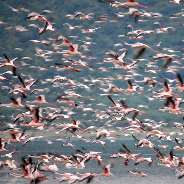 20120214095936_kenya 20120214095936_kenya