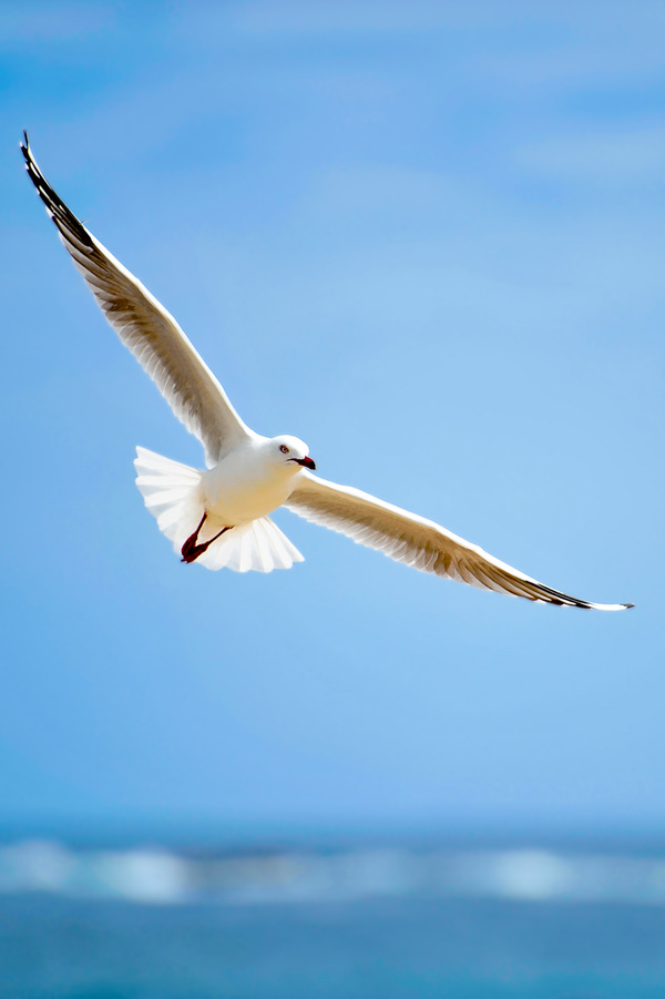 20120214095936_smichaux_acte1 20120214095936_smichaux_acte1