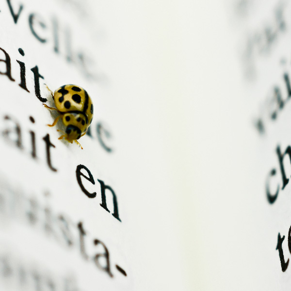 20120214132703_premiere_lecon 20120214132703_premiere_lecon