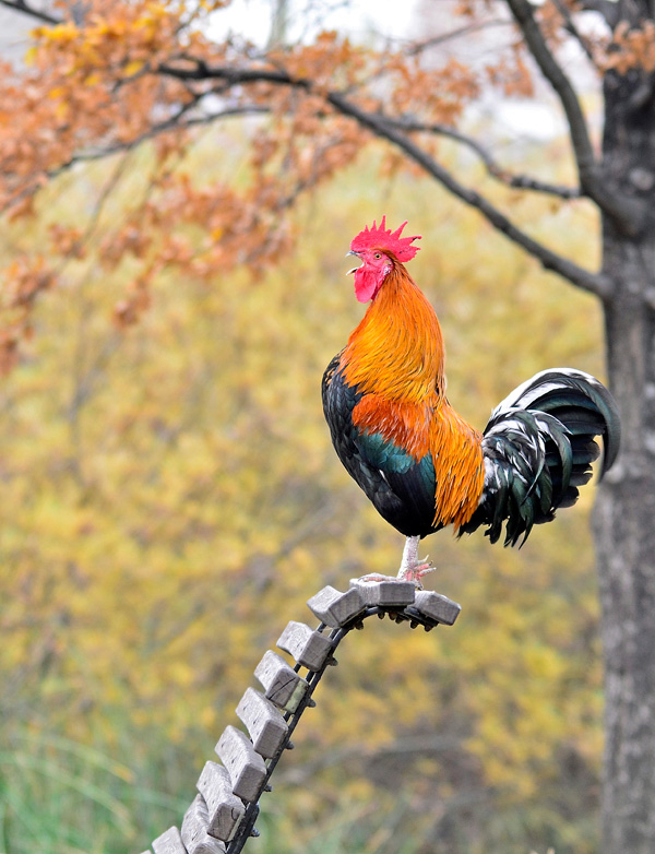 20120214164629__jla1012 20120214164629__jla1012