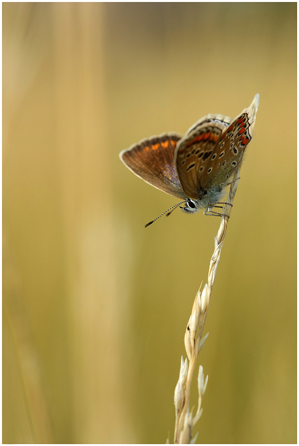 20120214181637_5988277143_f3001f643a_o 20120214181637_5988277143_f3001f643a_o