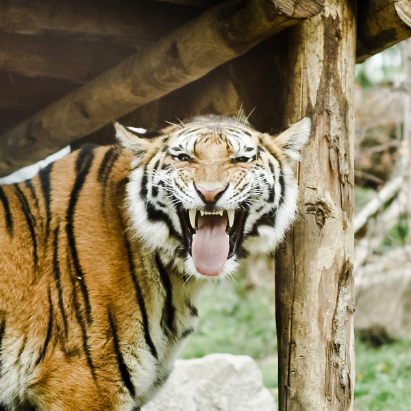 20120213223550_img_9347 20120213223550_img_9347