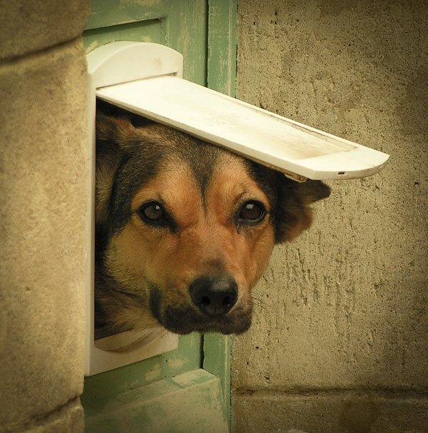 20120214194804_dscn0767_rec 20120214194804_dscn0767_rec