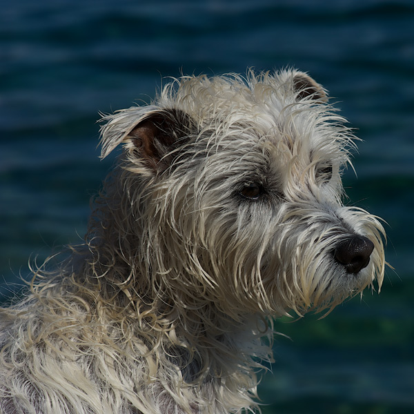 20120214235418_2011_09_12_a_15_52_37 20120214235418_2011_09_12_a_15_52_37