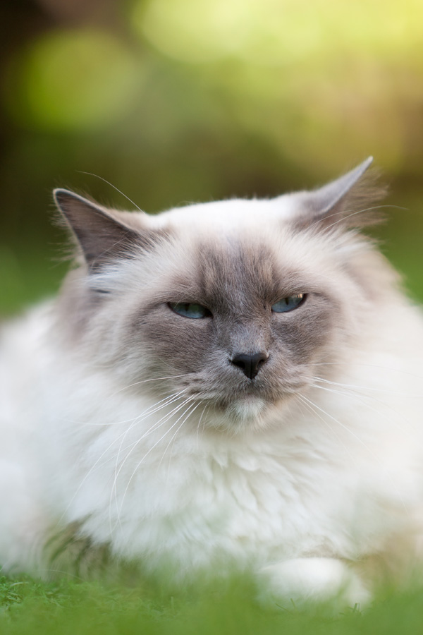 20120215095656__mg_1115_lr 20120215095656__mg_1115_lr