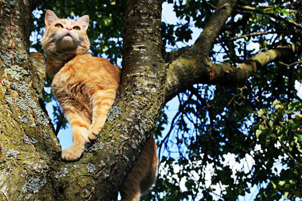 20120215133803_405793_262995350435893_255030297899065_621131_555029647_n 20120215133803_405793_262995350435893_255030297899065_621131_555029647_n