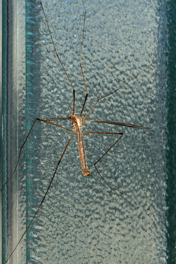 20120215141337_photo_018_copie 20120215141337_photo_018_copie