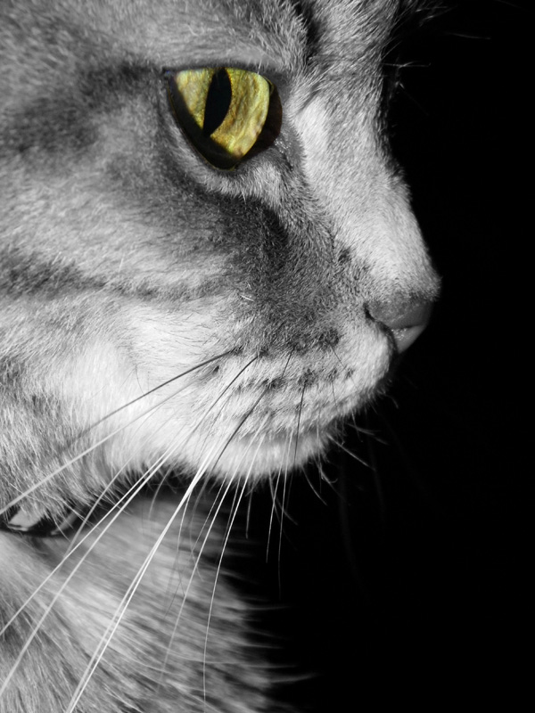 20120215172706_i 20120215172706_i