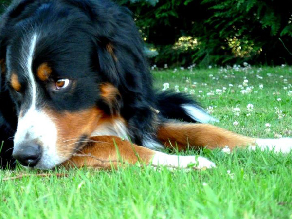 20120215221346_263180_2010224389459_1659224876_1905220_7214102_n 20120215221346_263180_2010224389459_1659224876_1905220_7214102_n