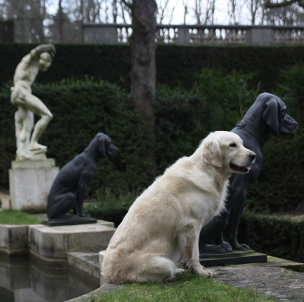 20120215211209_img_5358vert_ 20120215211209_img_5358vert_