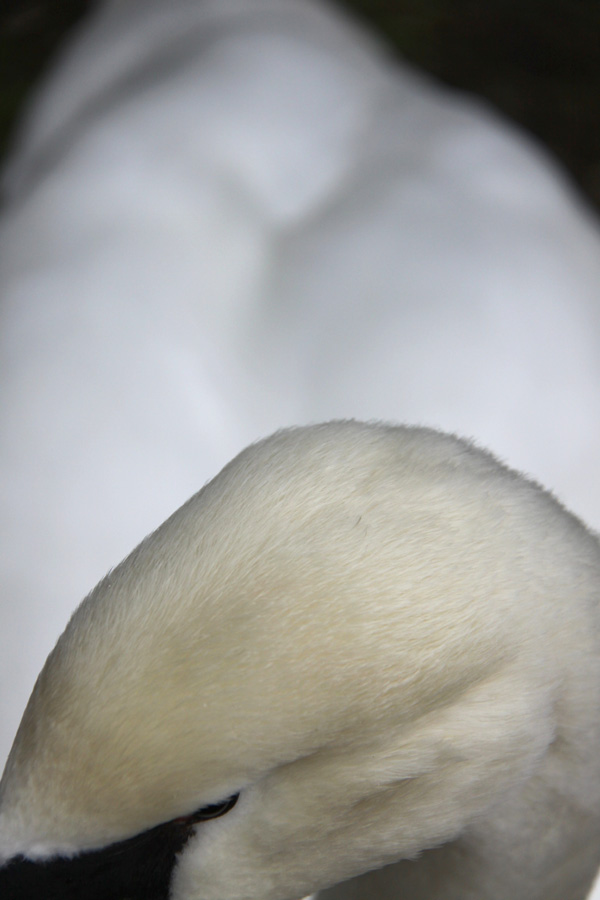 20120215230245_le_profil 20120215230245_le_profil