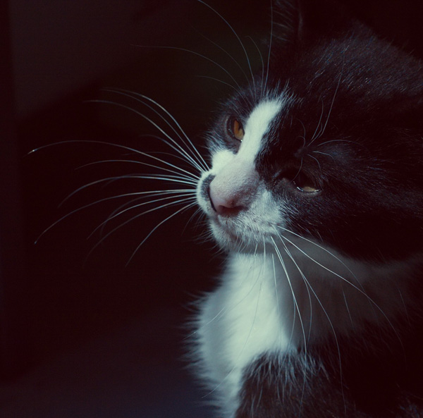 20120215234439_aaaaz 20120215234439_aaaaz