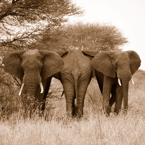 20120214195223_win_win_win 20120214195223_win_win_win